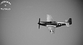 P-51 Mustang (9)
